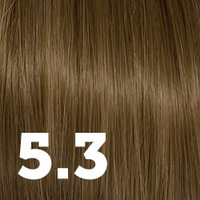 5.3
