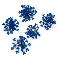 Décoration d'ongles Fleurs séchées - Bleu