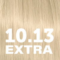 10.13 Extra