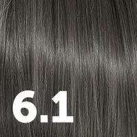 6.1