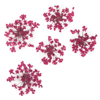 Décorations d'ongles en fleurs séchées fuchsia
