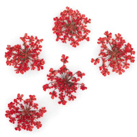 Décoration d'ongles Fleurs séchées - Rouge