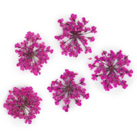 Décoration d'ongles Fleurs séchées - Rose